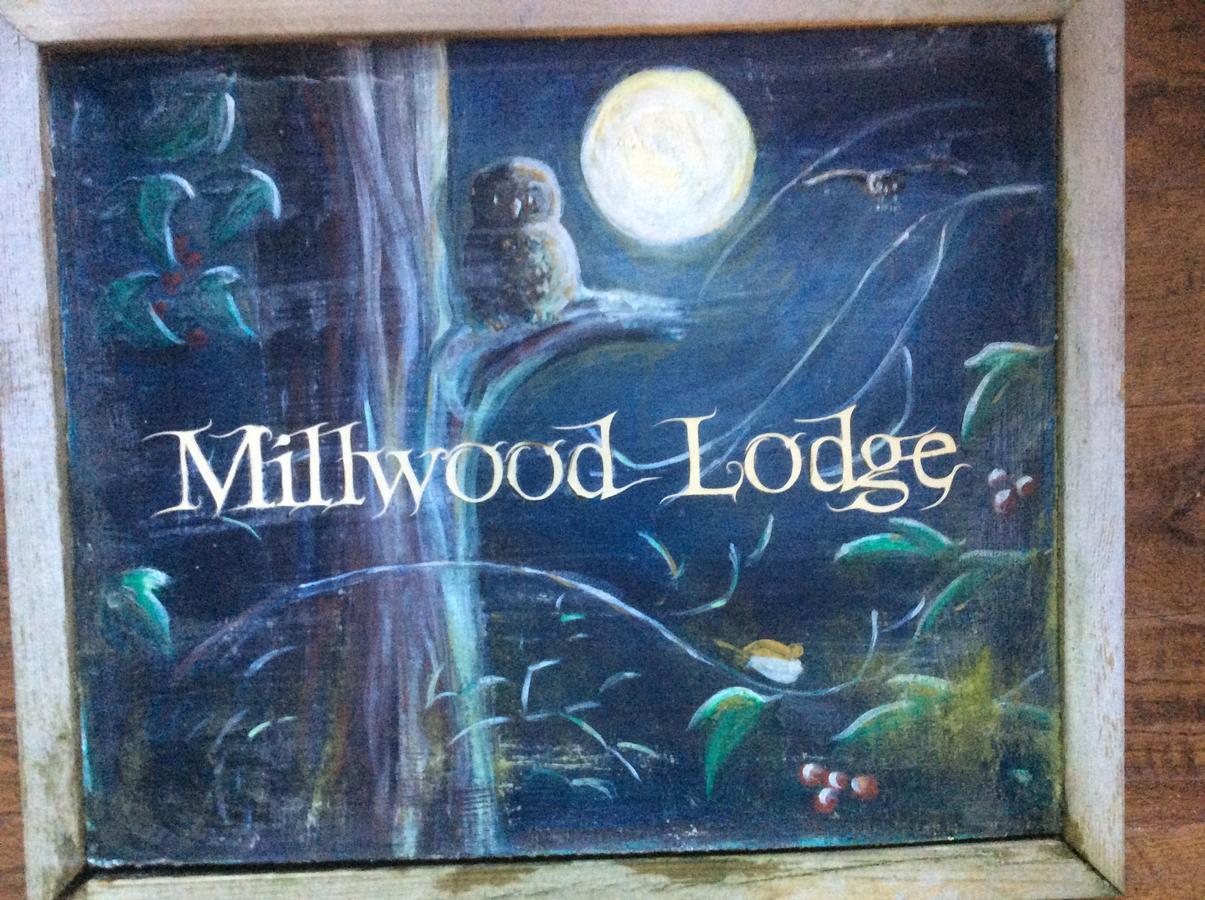 Millwood Lodge 巴罗弗内斯 外观 照片
